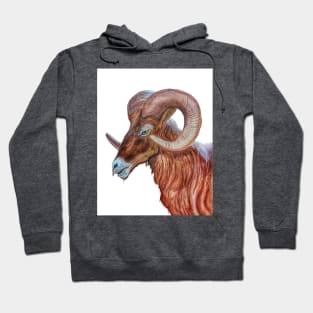 Bighorn Ram Hoodie